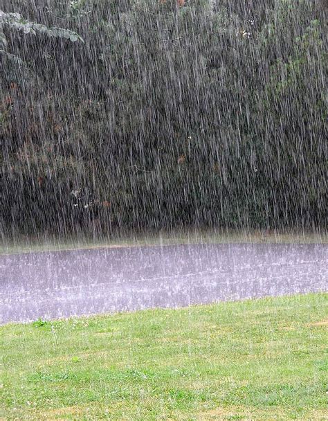 下大雨圖片|【下大雨圖片】大雨來襲！超過 170 萬張免費高清圖片等你下載